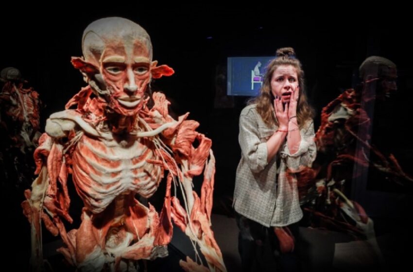 O expoziţia de cadavre umane a stârnit controverse în Rusia. Evenimentul este acum investigat de autorități