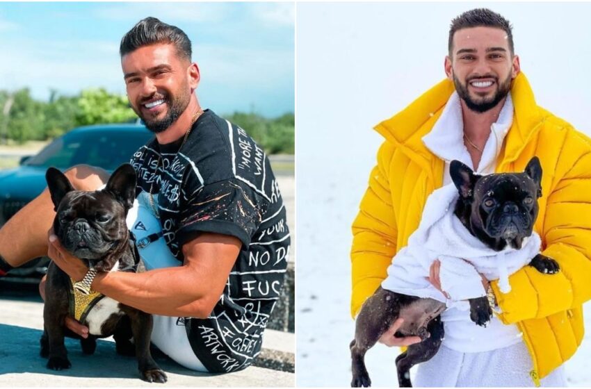 Câinele care i-a adus lui Dorian Popa peste 150 de mii de euro: „Doamne ferește să nu pățesc ca Lady Gaga”