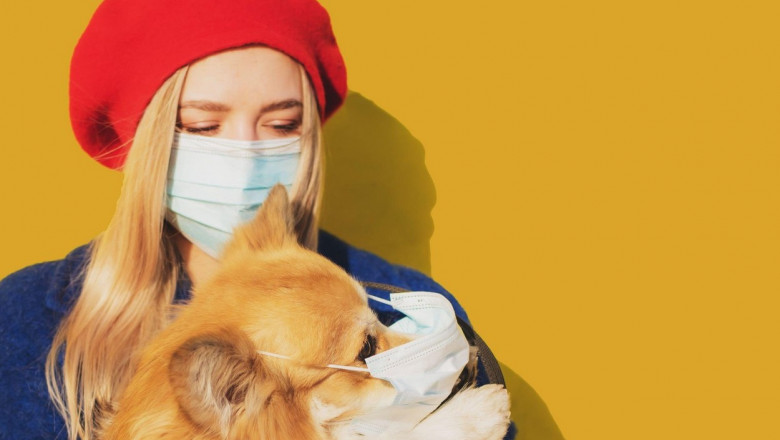 Rusia a produs primul lot de vaccin anti-Covid-19 din lume pentru animale