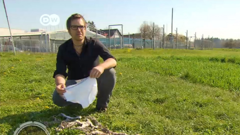  (video) De ce copiii din Elveția sunt învățați să-și îngroape lenjeria intimă în grădină