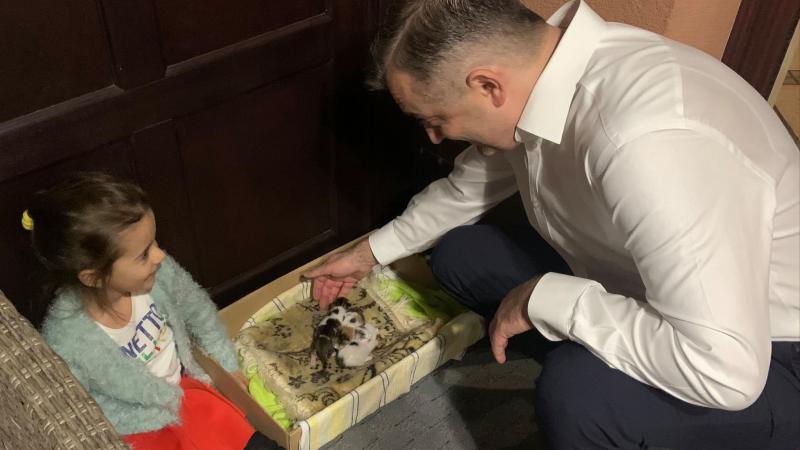 (video) Ion Chicu, în rol de „moașă”: Avem mulți pisici, cam din toată mahala vin. Alexandra este fericită