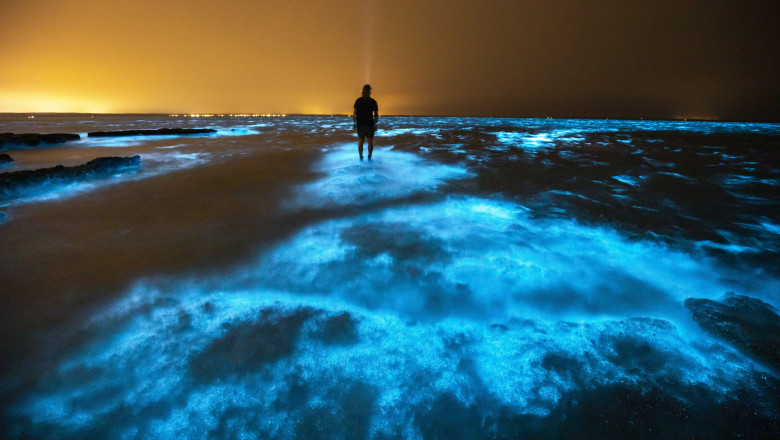  FOTO Fenomen rar și spectaculos! Ape acoperite de alge strălucitoare în Australia