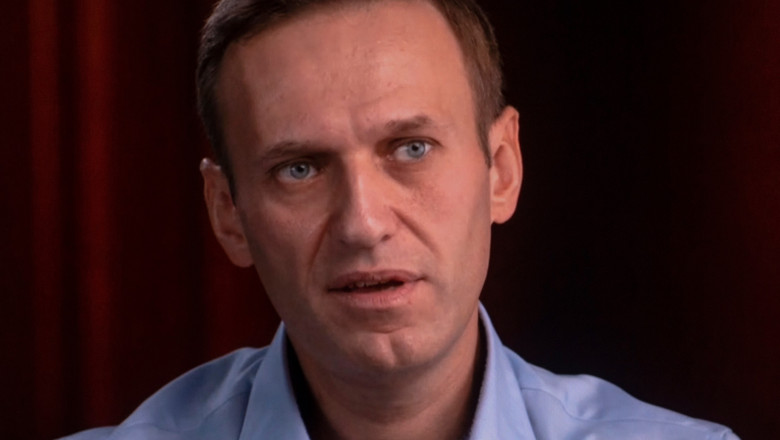  Fotografia postată de Aleksei Navalnîi la exact un an de la arestarea lui. „Am făcut-o, nu o regret nicio secundă”