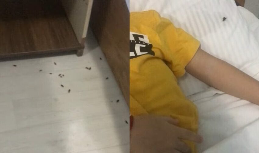  (VIDEO) Invazie de gândaci la Spitalul Clinic din Bălți: „Veniți să dormiți măcar 10 minute într-un astfel de salon”